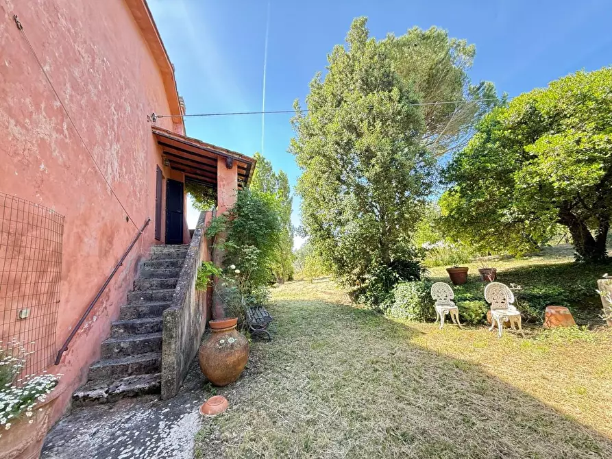 Immagine 7 di Casa colonica in vendita  a Casciana Terme Lari