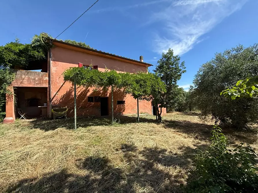 Immagine 51 di Casa colonica in vendita  a Casciana Terme Lari