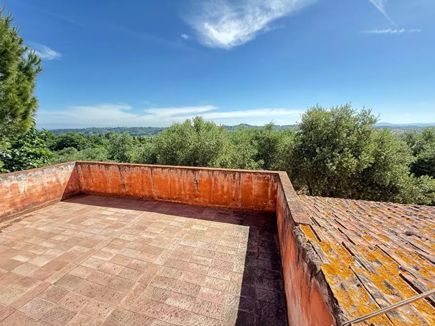 Immagine 18 di Casa colonica in vendita  a Casciana Terme Lari