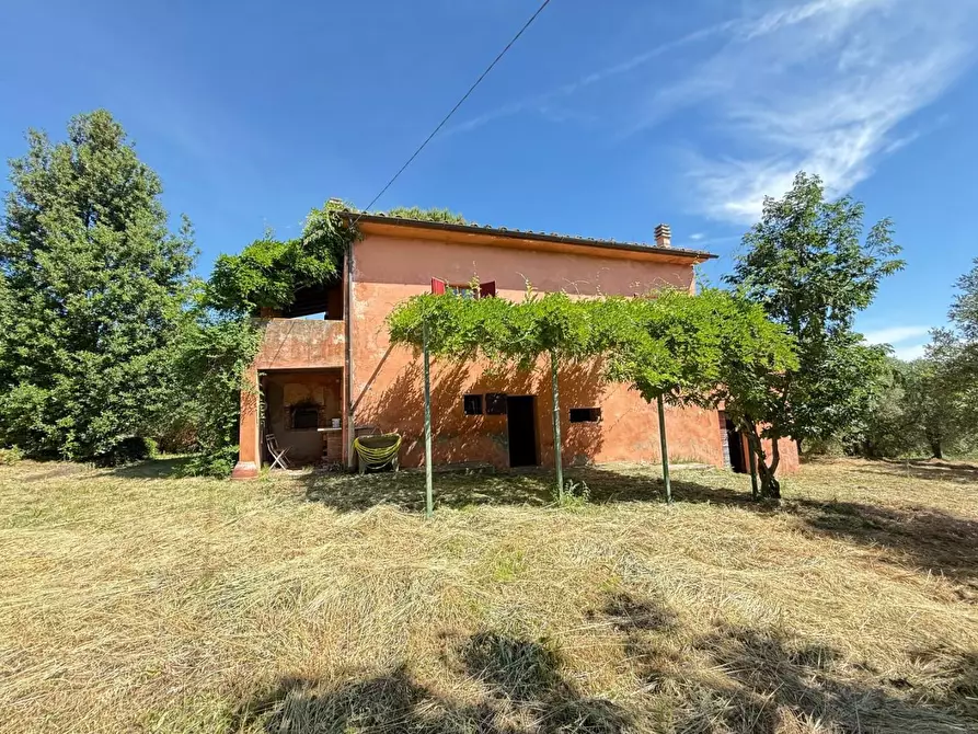 Immagine 50 di Casa colonica in vendita  a Casciana Terme Lari