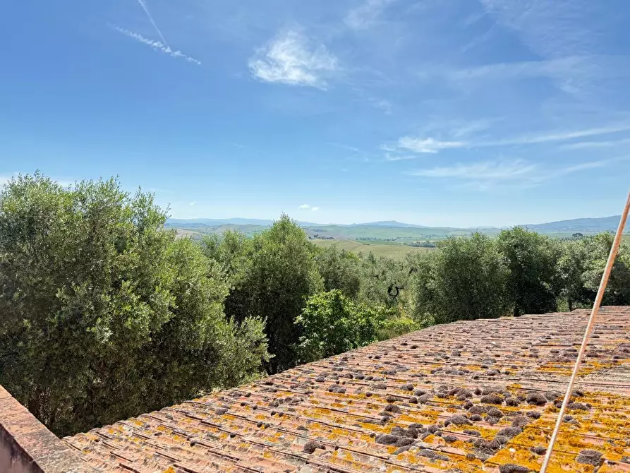 Immagine 40 di Casa colonica in vendita  a Casciana Terme Lari