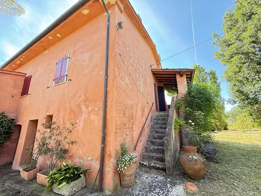 Immagine 4 di Casa colonica in vendita  a Casciana Terme Lari