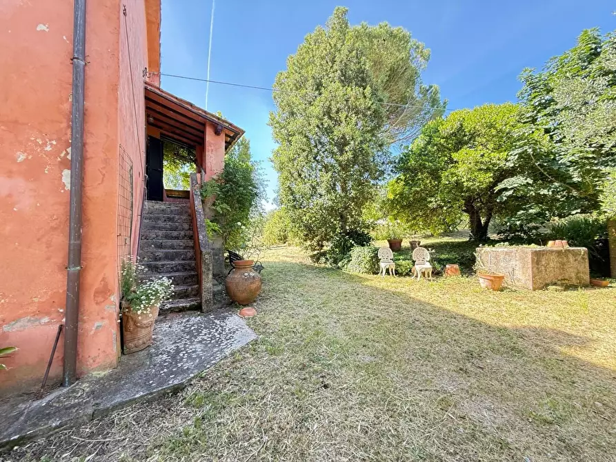 Immagine 44 di Casa colonica in vendita  a Casciana Terme Lari