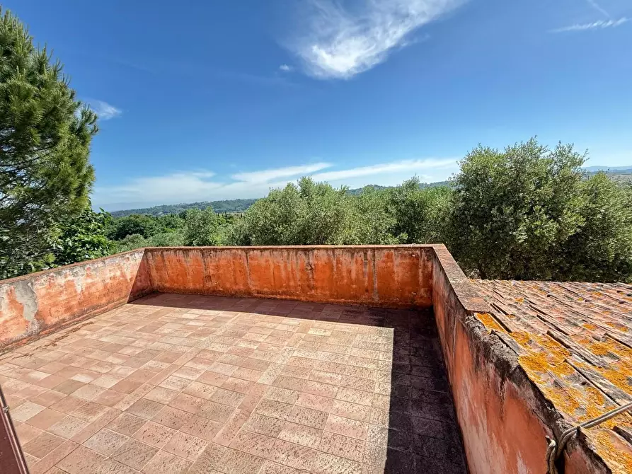 Immagine 53 di Casa colonica in vendita  a Casciana Terme Lari