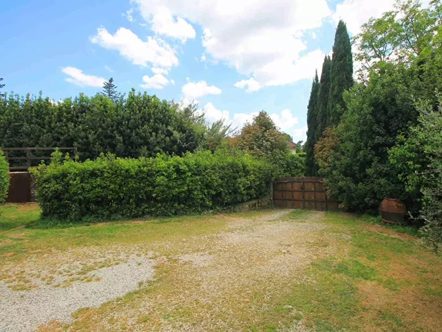 Immagine 5 di Casa colonica in vendita  a Vinci