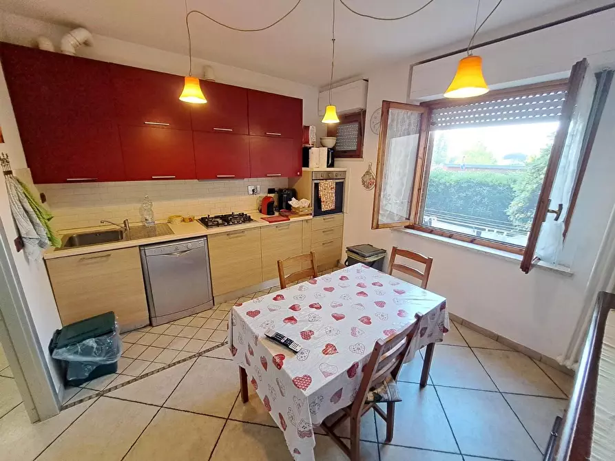 Immagine 5 di Appartamento in vendita  a Rosignano Marittimo