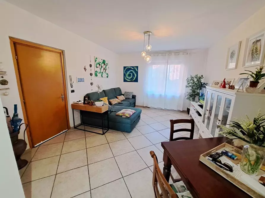 Immagine 1 di Appartamento in vendita  a Rosignano Marittimo
