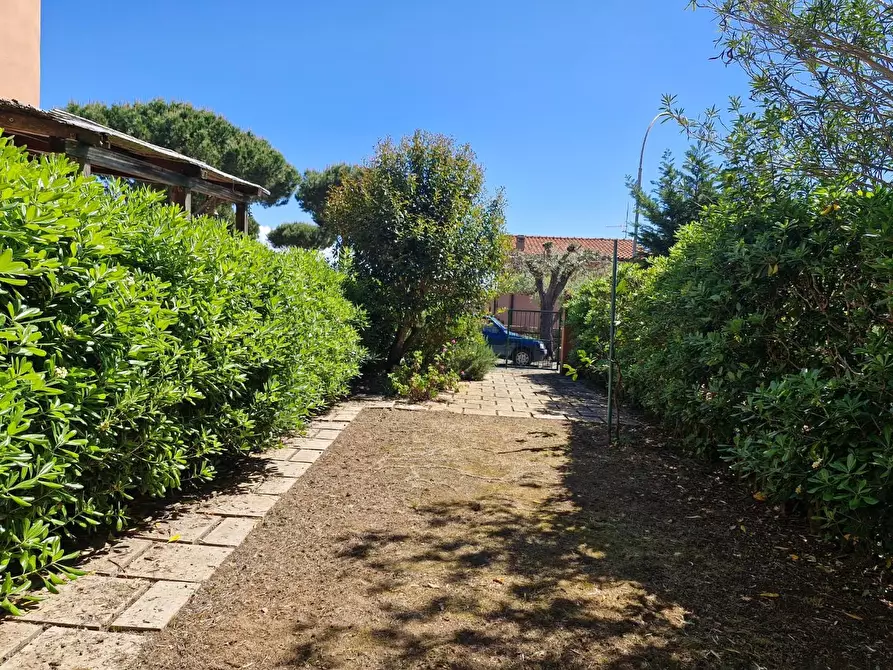 Immagine 17 di Appartamento in vendita  a Rio Marina