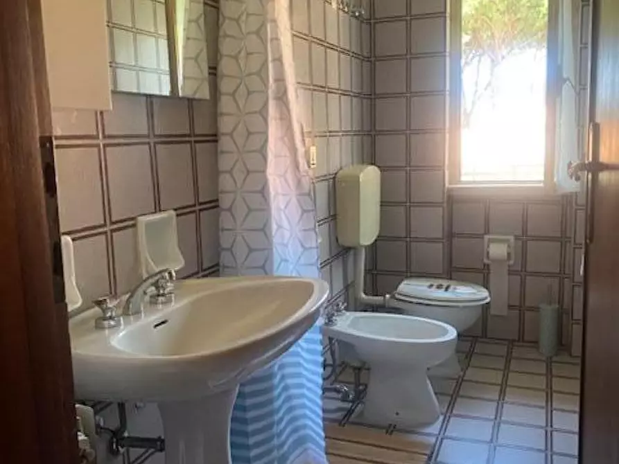 Immagine 4 di Appartamento in affitto  a Camaiore