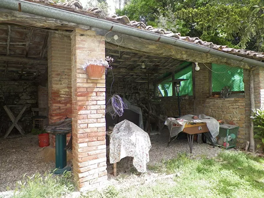 Immagine 14 di Casa colonica in vendita  a Siena