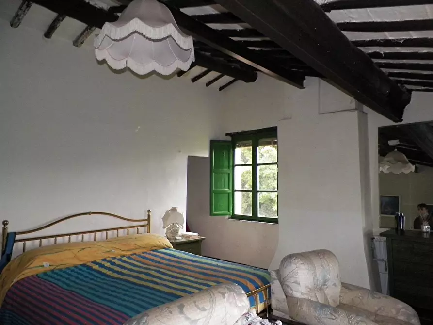 Immagine 12 di Casa colonica in vendita  a Siena