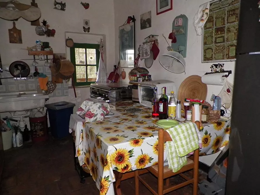 Immagine 5 di Casa colonica in vendita  a Siena