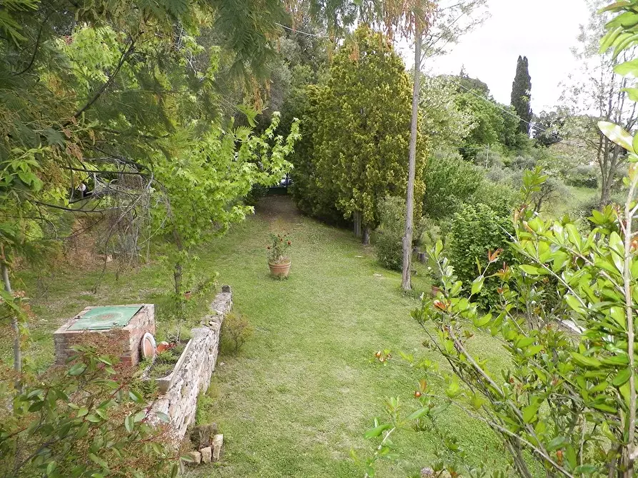 Immagine 7 di Casa colonica in vendita  a Siena