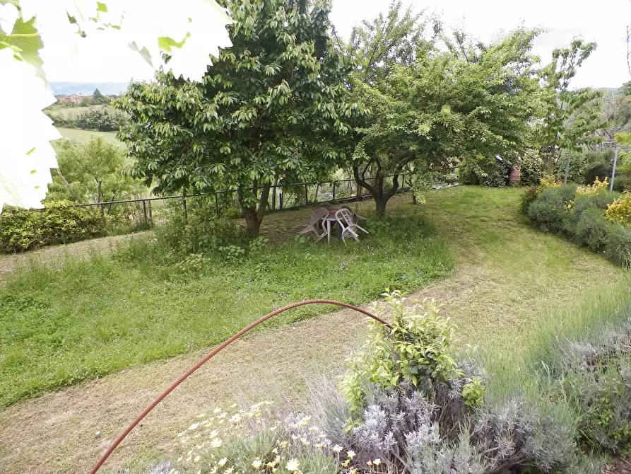 Immagine 25 di Casa colonica in vendita  a Siena