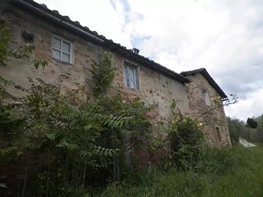 Immagine 1 di Casa colonica in vendita  a Siena