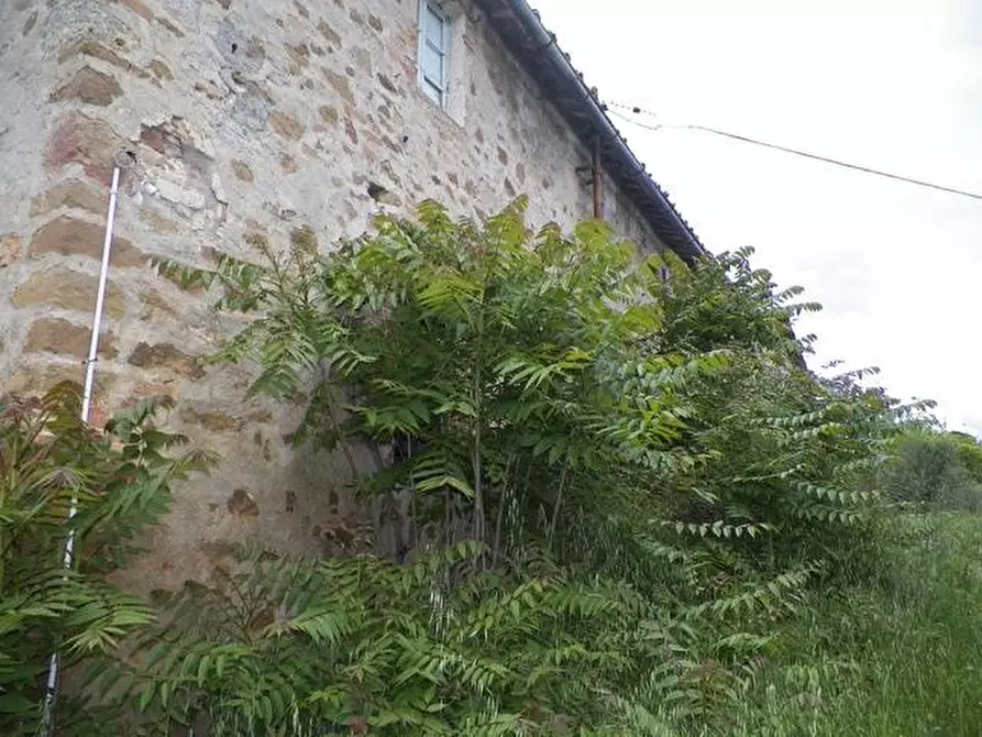Immagine 5 di Casa colonica in vendita  a Siena