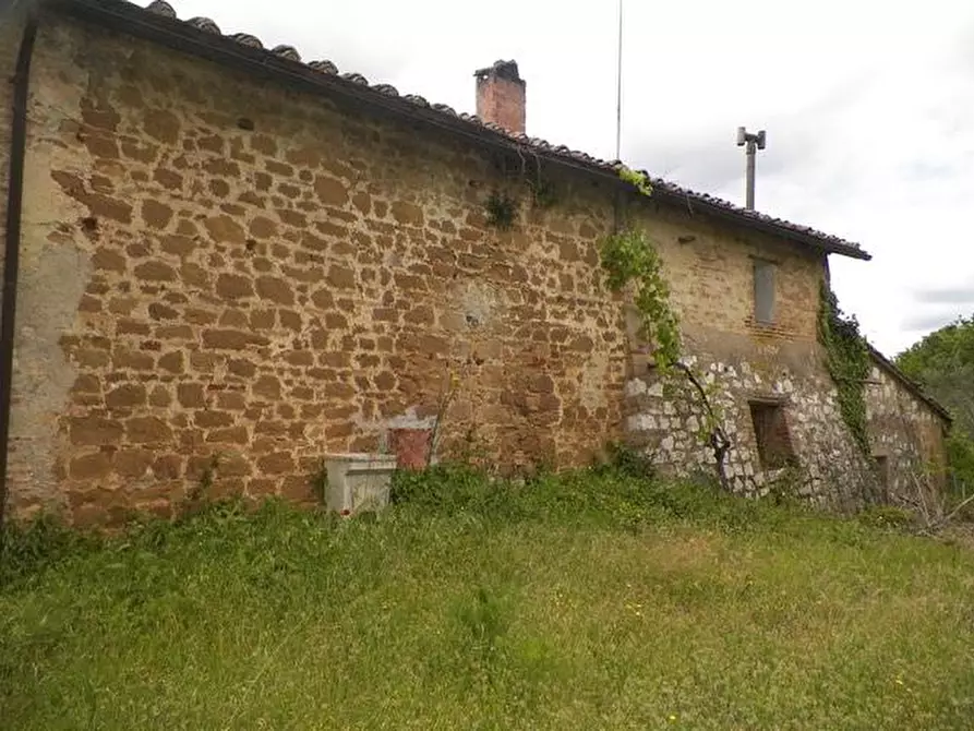 Immagine 2 di Casa colonica in vendita  a Siena