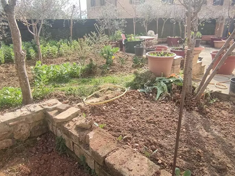 Immagine 36 di Terratetto in vendita  a Monteroni D'arbia