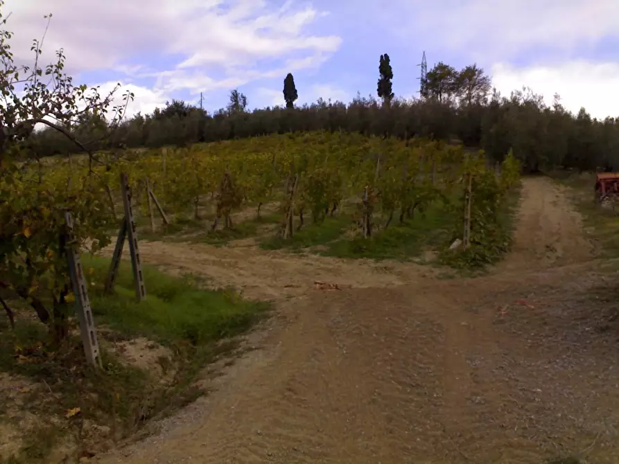 Immagine 2 di Casa colonica in vendita  a Vinci