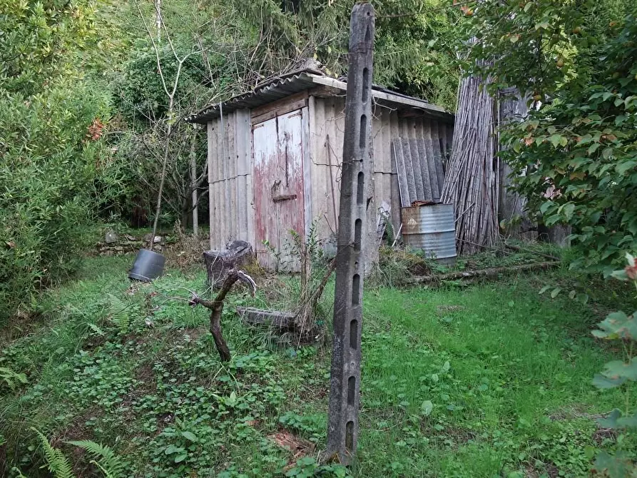 Immagine 14 di Casa indipendente in vendita  a Carrara