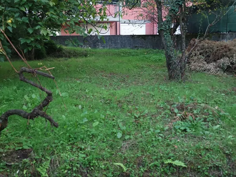 Immagine 13 di Casa indipendente in vendita  a Carrara