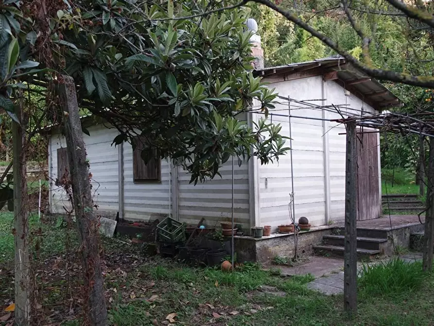Immagine 1 di Casa indipendente in vendita  a Carrara