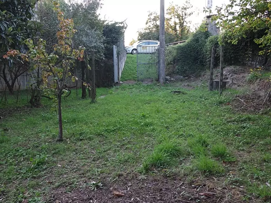 Immagine 9 di Casa indipendente in vendita  a Carrara