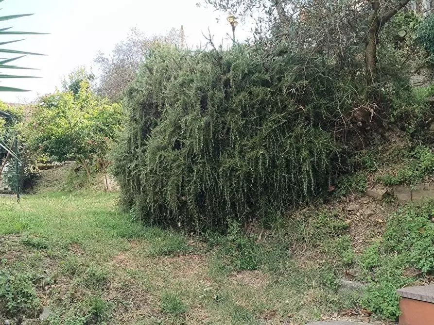 Immagine 20 di Casa indipendente in vendita  a Ortonovo