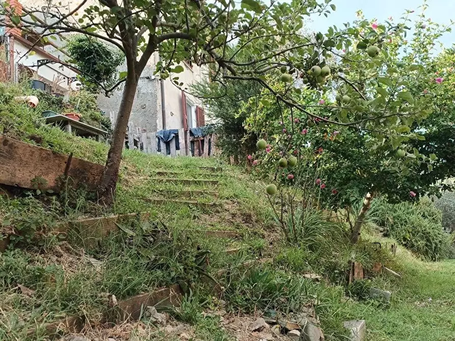 Immagine 6 di Casa indipendente in vendita  a Ortonovo