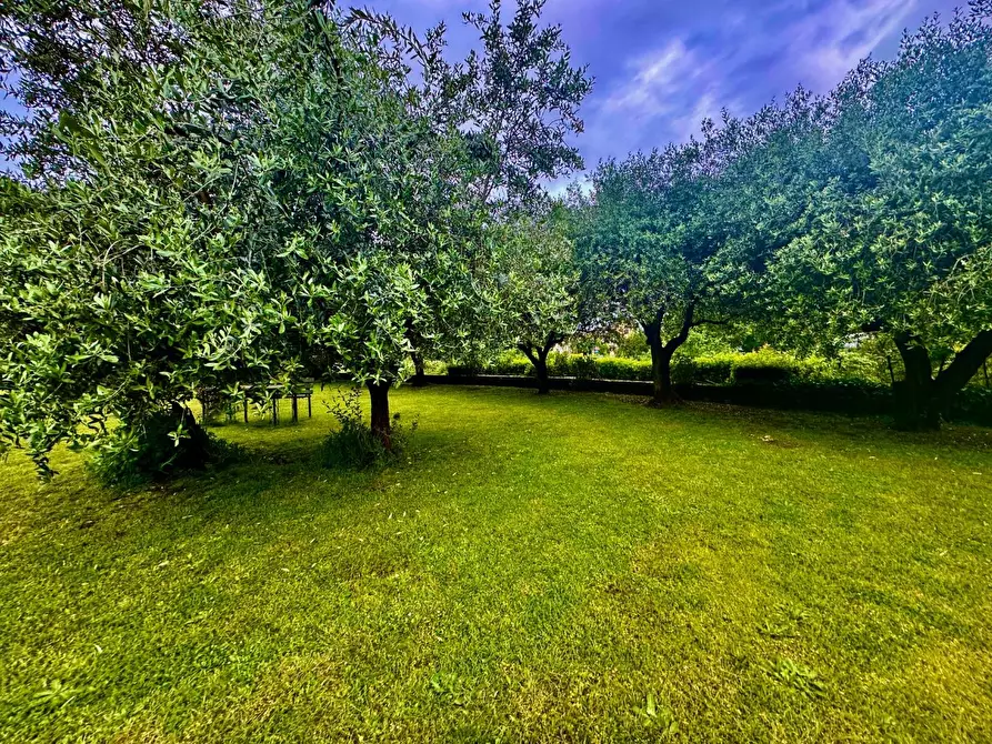 Immagine 4 di Casa bifamiliare in vendita  a Montignoso