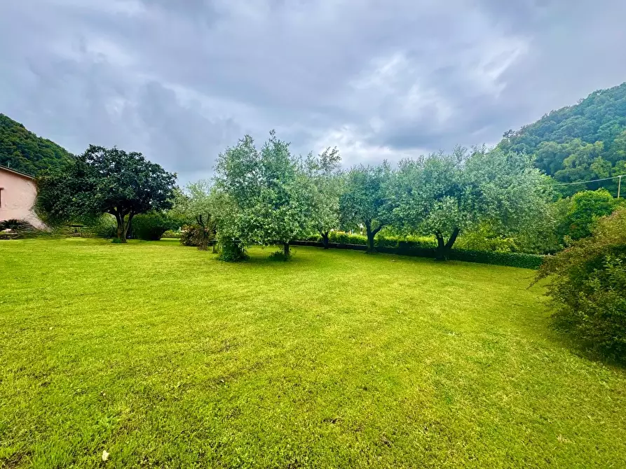 Immagine 6 di Casa bifamiliare in vendita  a Montignoso