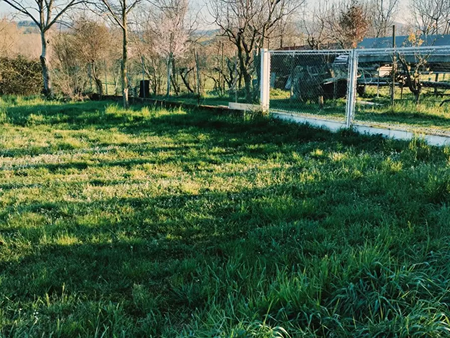 Immagine 28 di Appartamento in vendita  a Quattro Castella