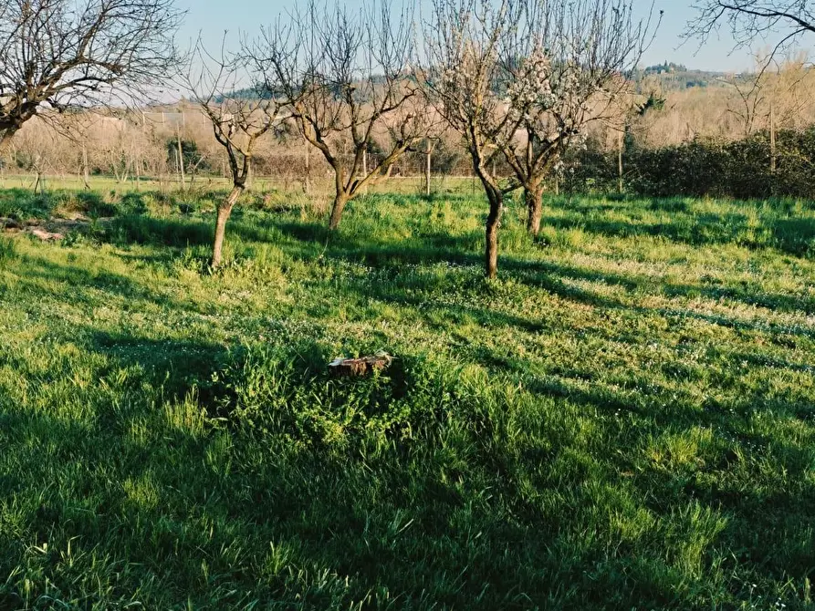 Immagine 31 di Appartamento in vendita  a Quattro Castella