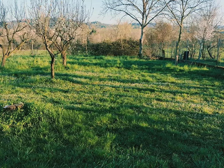 Immagine 29 di Appartamento in vendita  a Quattro Castella