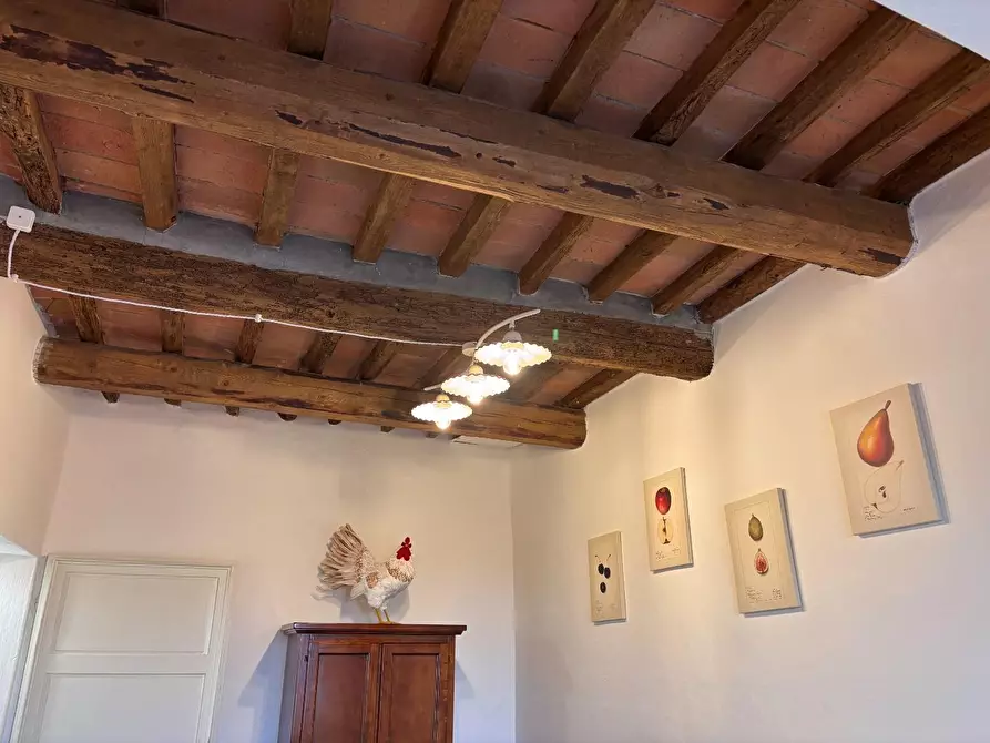 Immagine 25 di Terratetto in vendita  a Peccioli