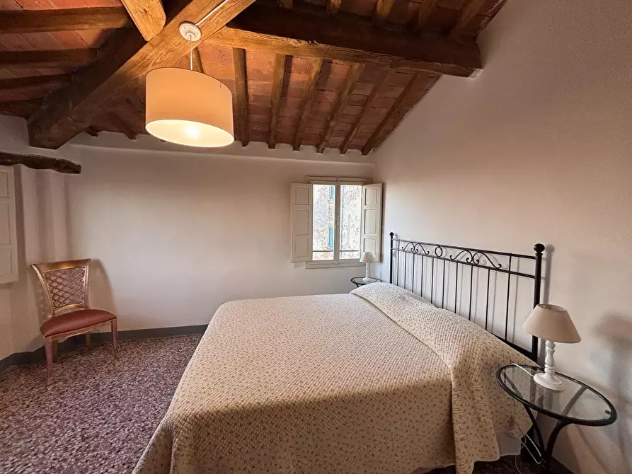 Immagine 18 di Terratetto in vendita  a Peccioli