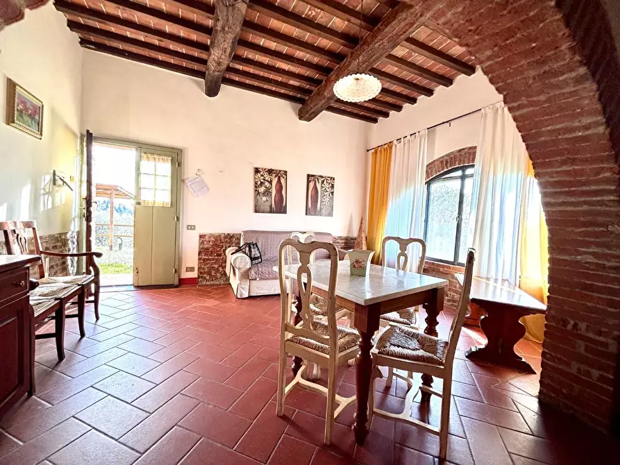 Immagine 54 di Agriturismo in vendita  a Palaia