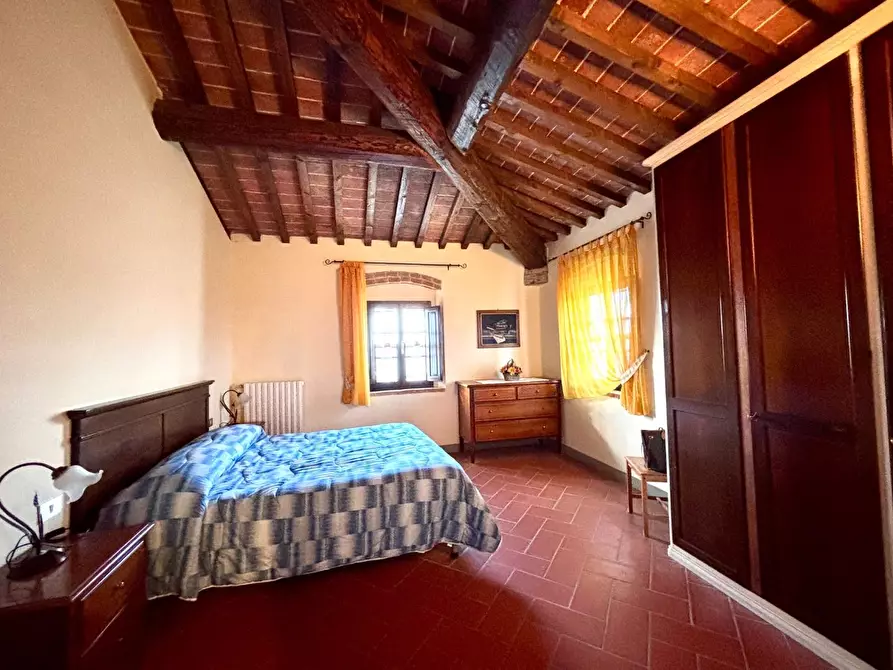 Immagine 28 di Agriturismo in vendita  a Palaia