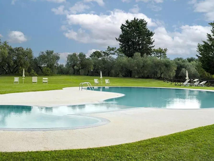 Immagine 17 di Agriturismo in vendita  a Palaia