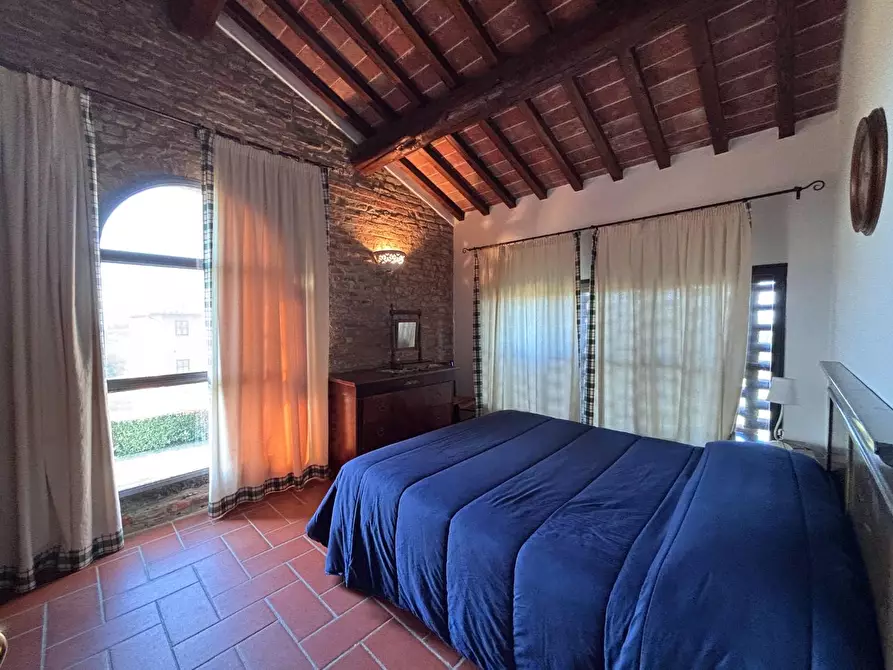 Immagine 60 di Agriturismo in vendita  a Palaia