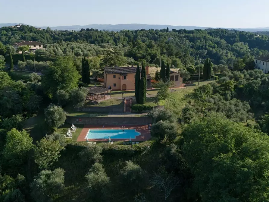 Immagine 4 di Agriturismo in vendita  a Palaia