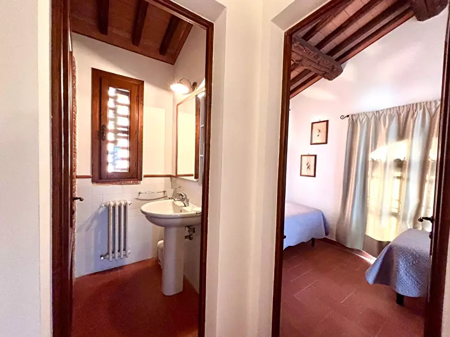 Immagine 52 di Agriturismo in vendita  a Palaia