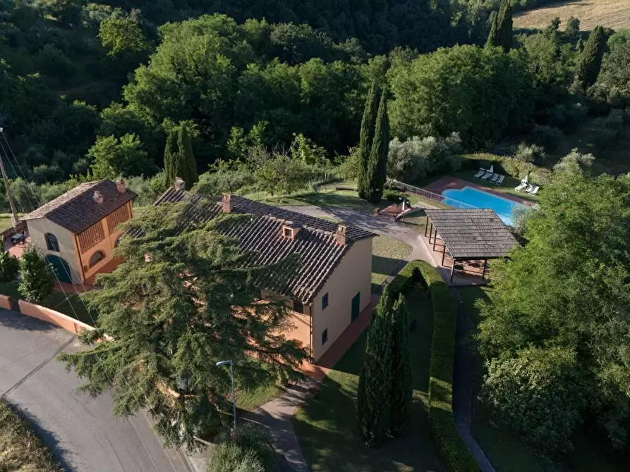 Immagine 2 di Agriturismo in vendita  a Palaia