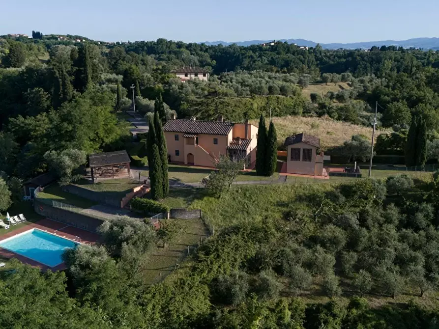 Immagine 6 di Agriturismo in vendita  a Palaia