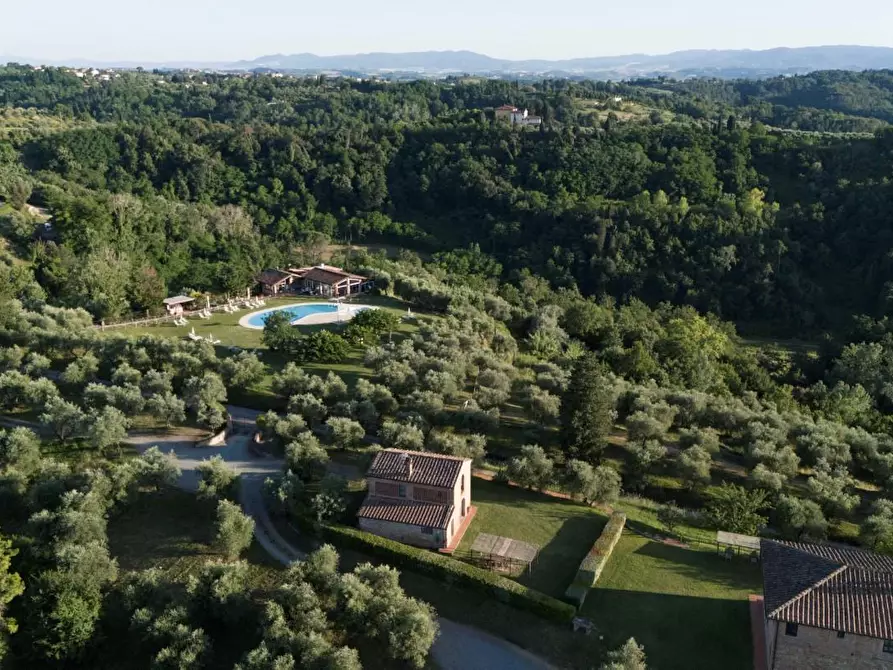 Immagine 7 di Agriturismo in vendita  a Palaia