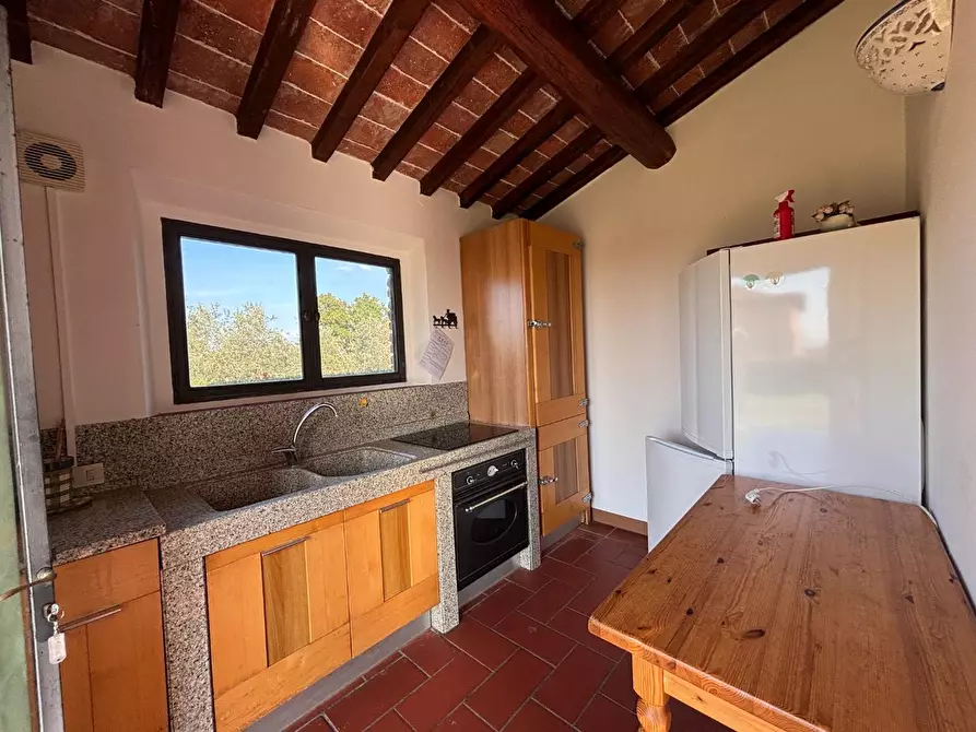 Immagine 25 di Agriturismo in vendita  a Palaia