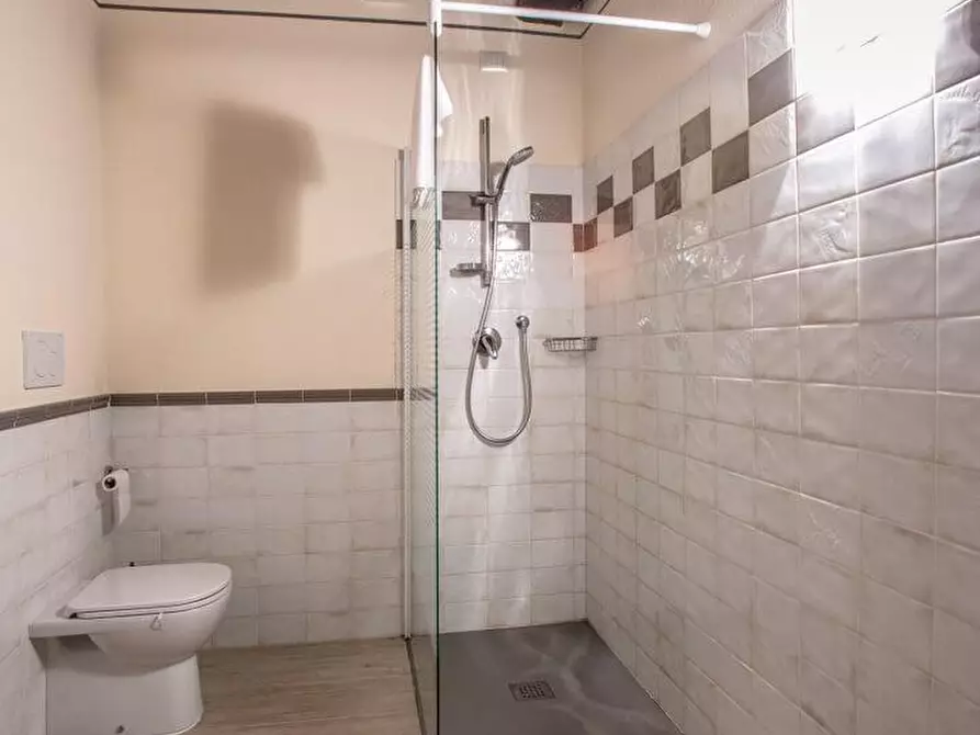 Immagine 33 di Agriturismo in vendita  a Palaia