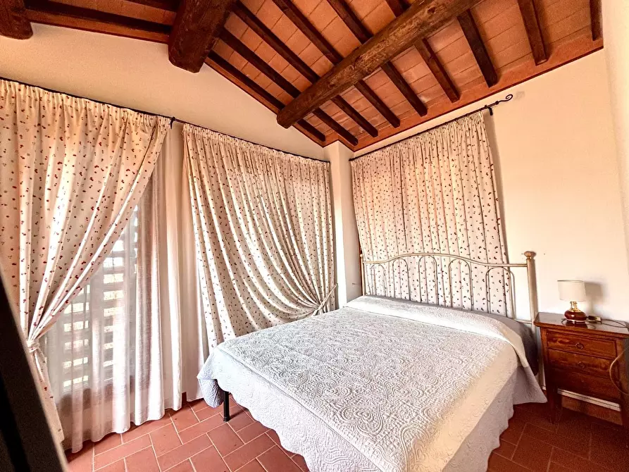 Immagine 51 di Agriturismo in vendita  a Palaia