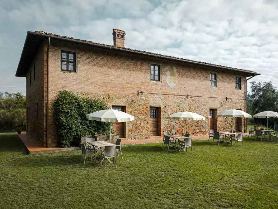 Immagine 8 di Agriturismo in vendita  a Palaia