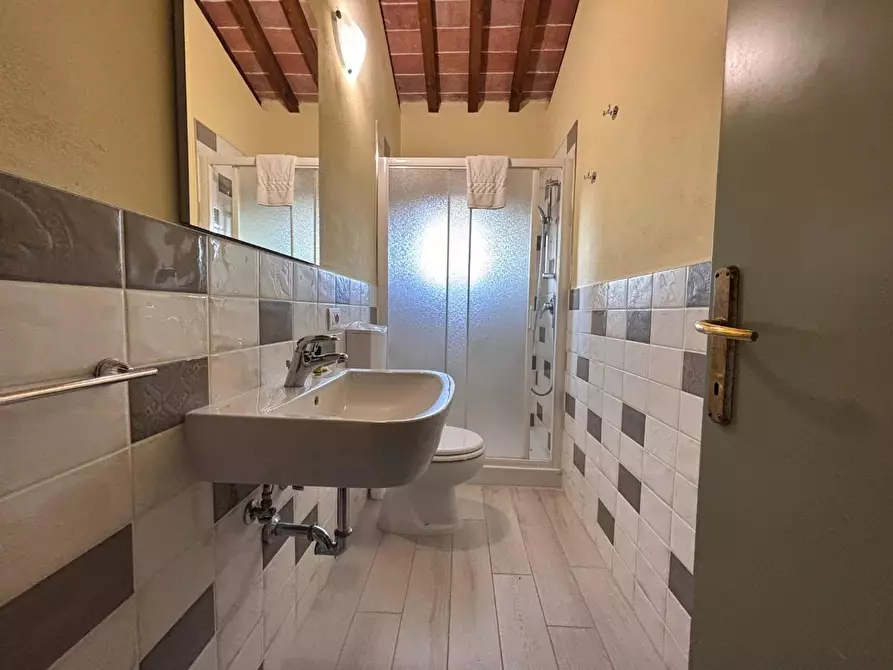 Immagine 29 di Agriturismo in vendita  a Palaia